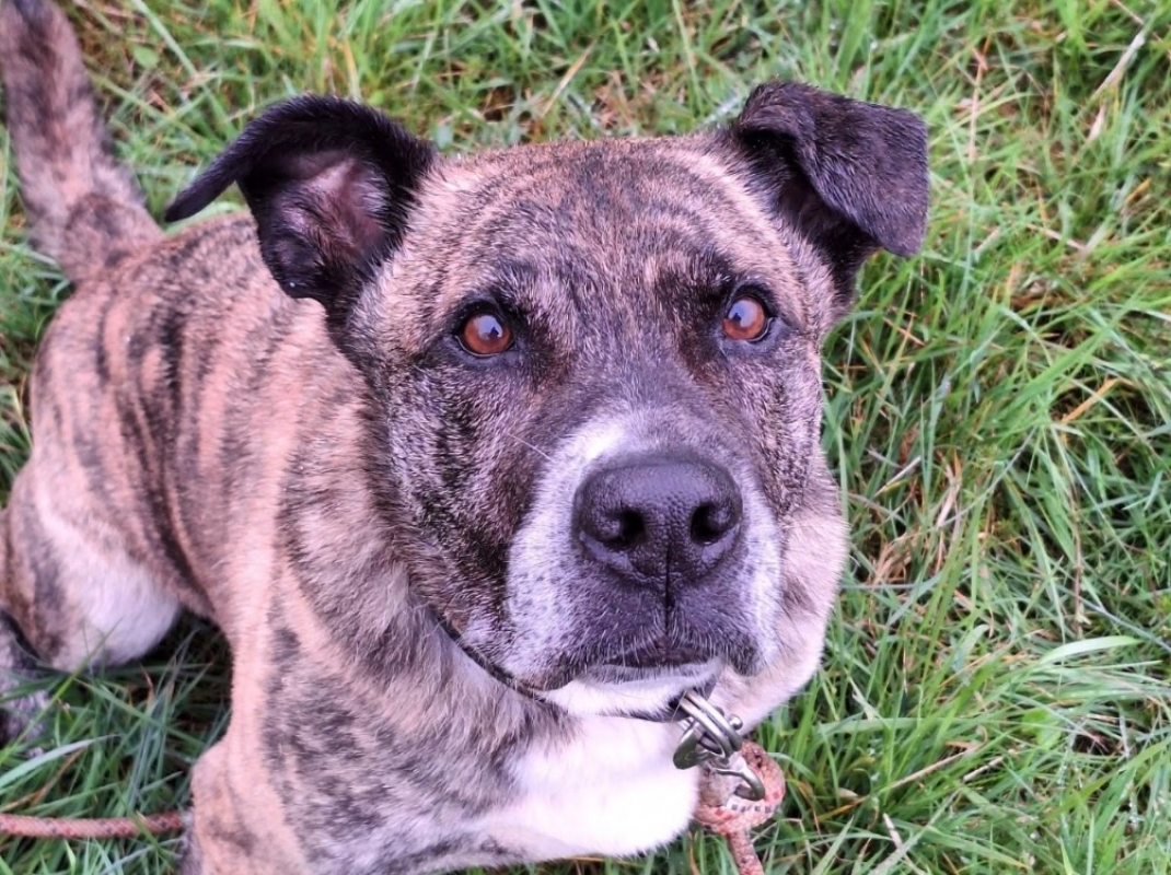 Photo #16 de Babouille