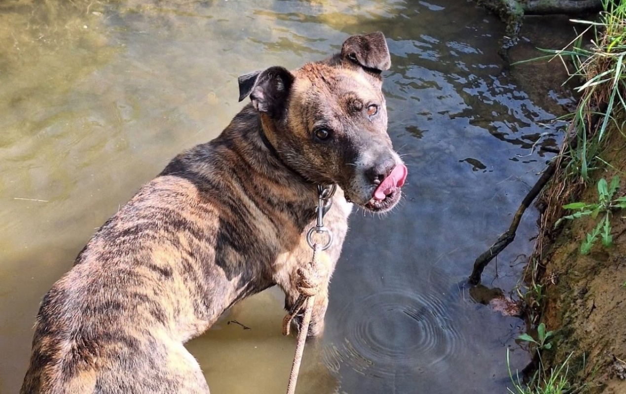 Photo #18 de Babouille