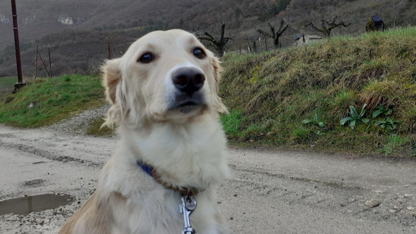 Photo #2 de Perséphone