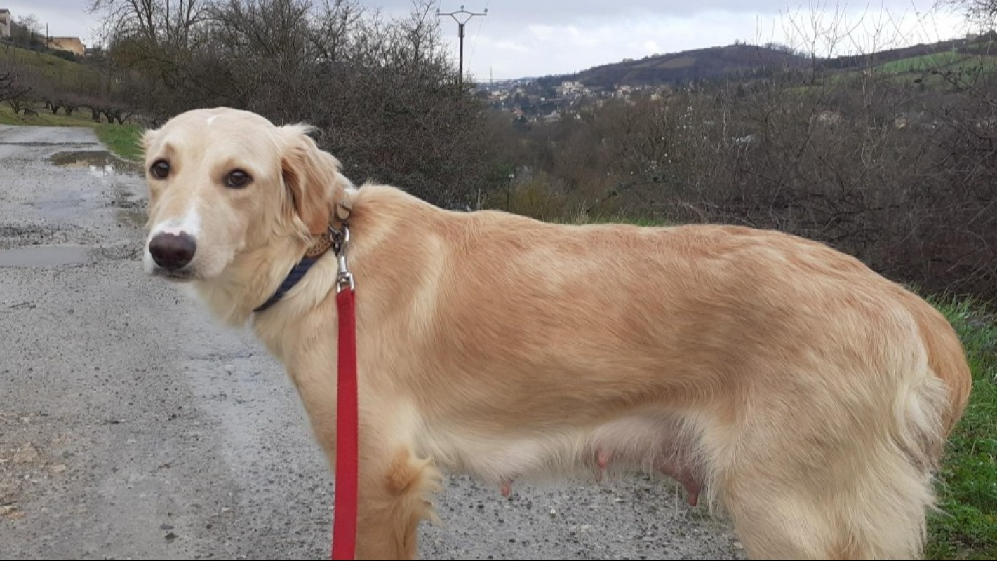 Photo #3 de Perséphone