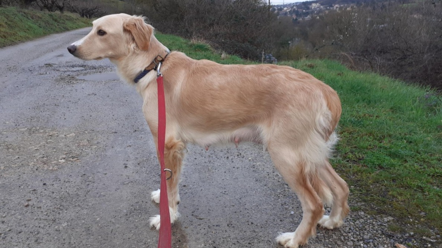 Photo #4 de Perséphone