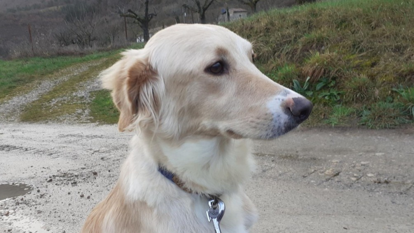 Photo #5 de Perséphone