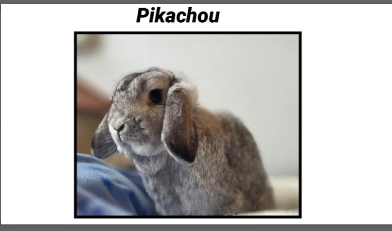 Photo de Pikachou
