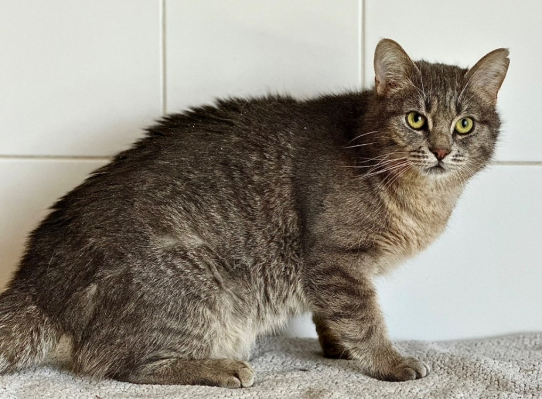 Photo #1 de Petit nuage