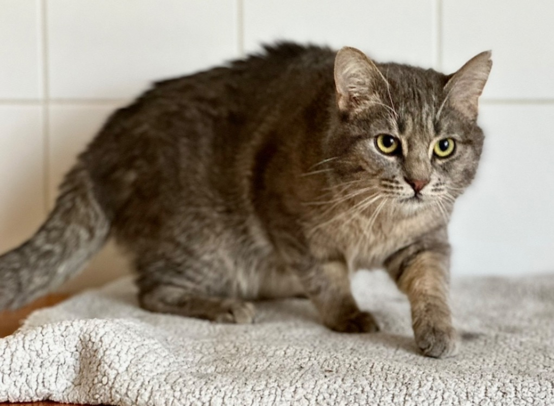 Photo #2 de Petit nuage