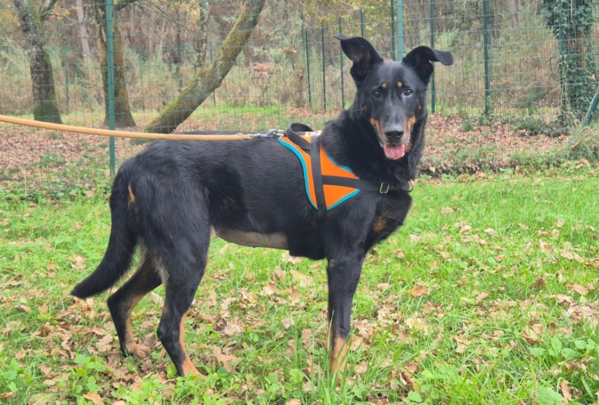 Photo #1 de Nouba dite maya