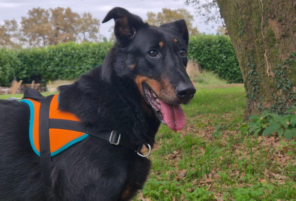 Photo #2 de Nouba dite maya