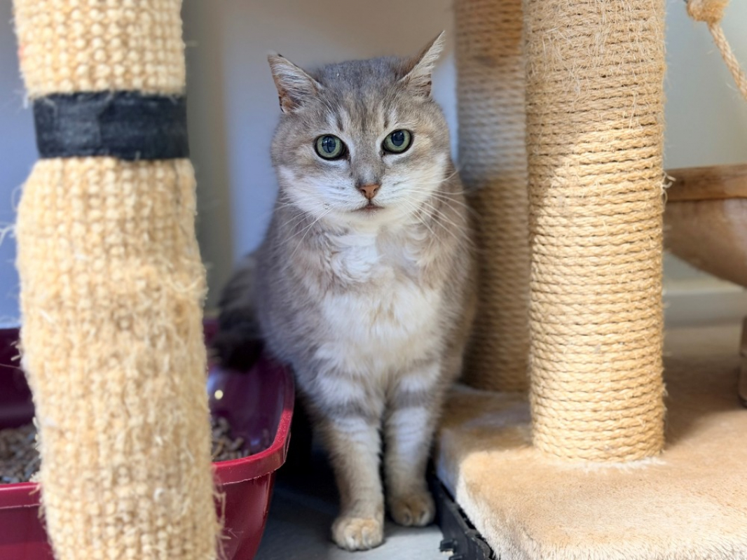 Photo #2 de Princesse