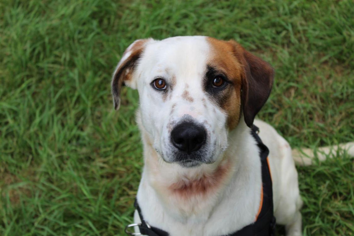 Photo #3 de Spoutnik