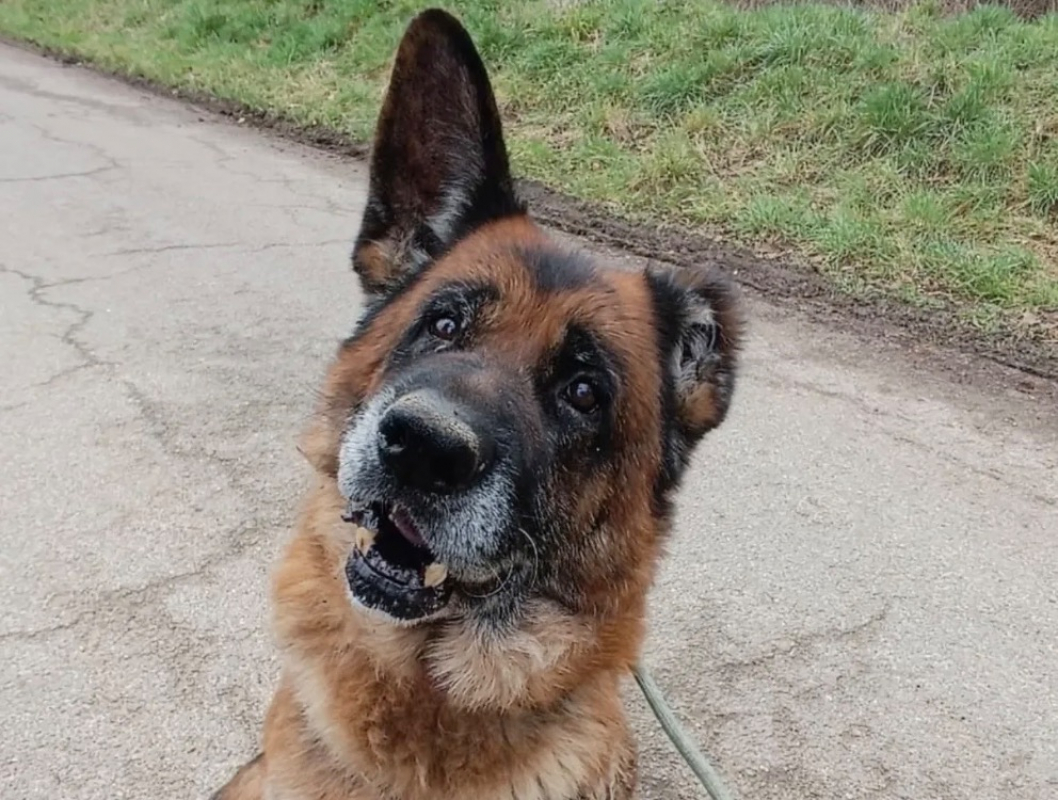 Photo #1 de Patapouf