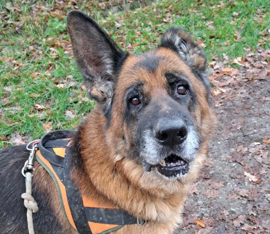 Photo #3 de Patapouf