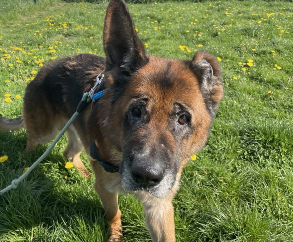 Photo #4 de Patapouf