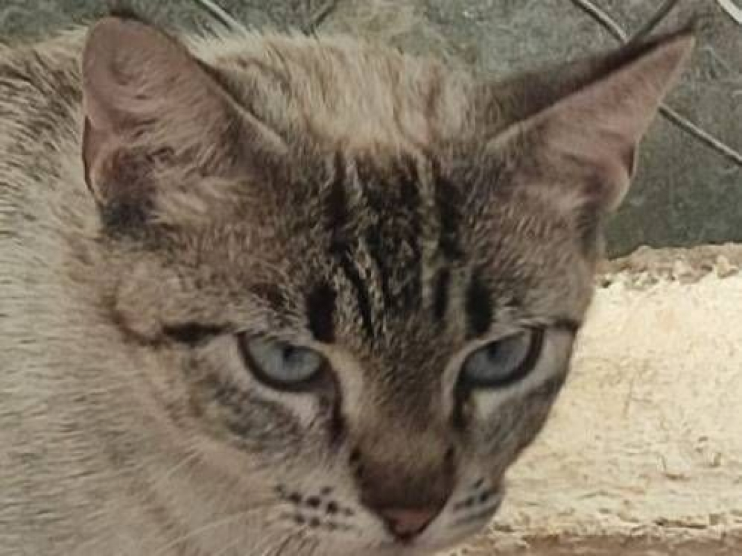 Photo #1 de Mathilda