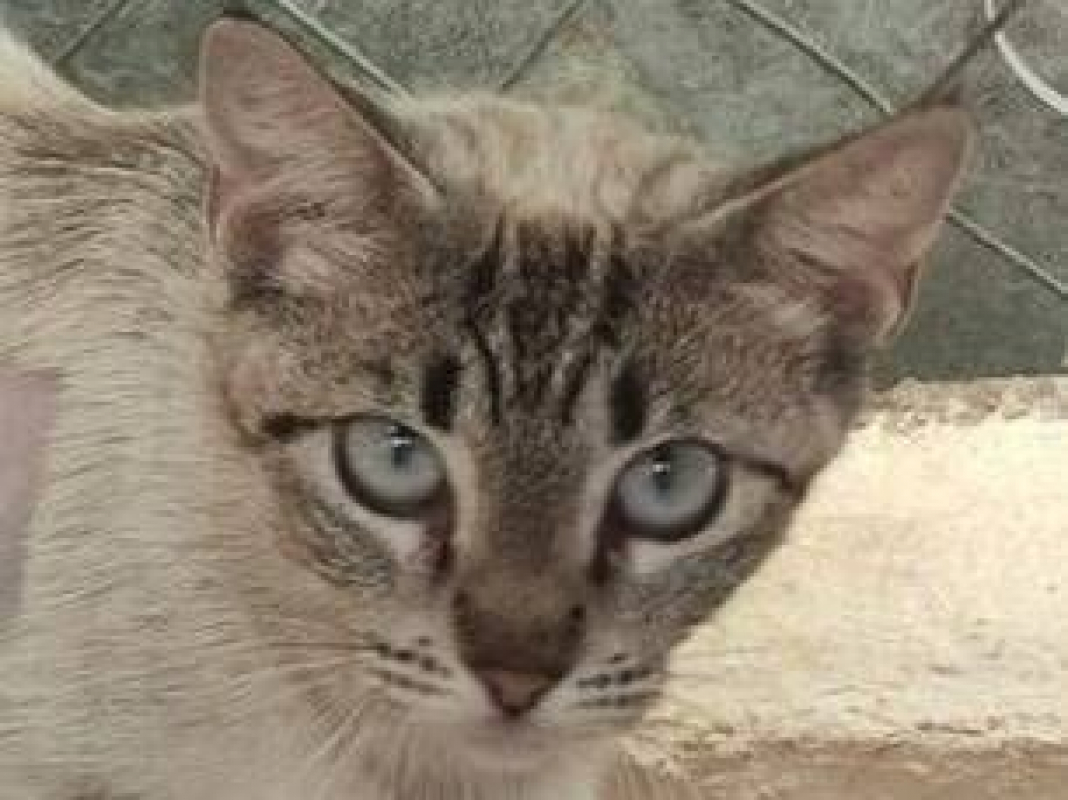 Photo #2 de Mathilda