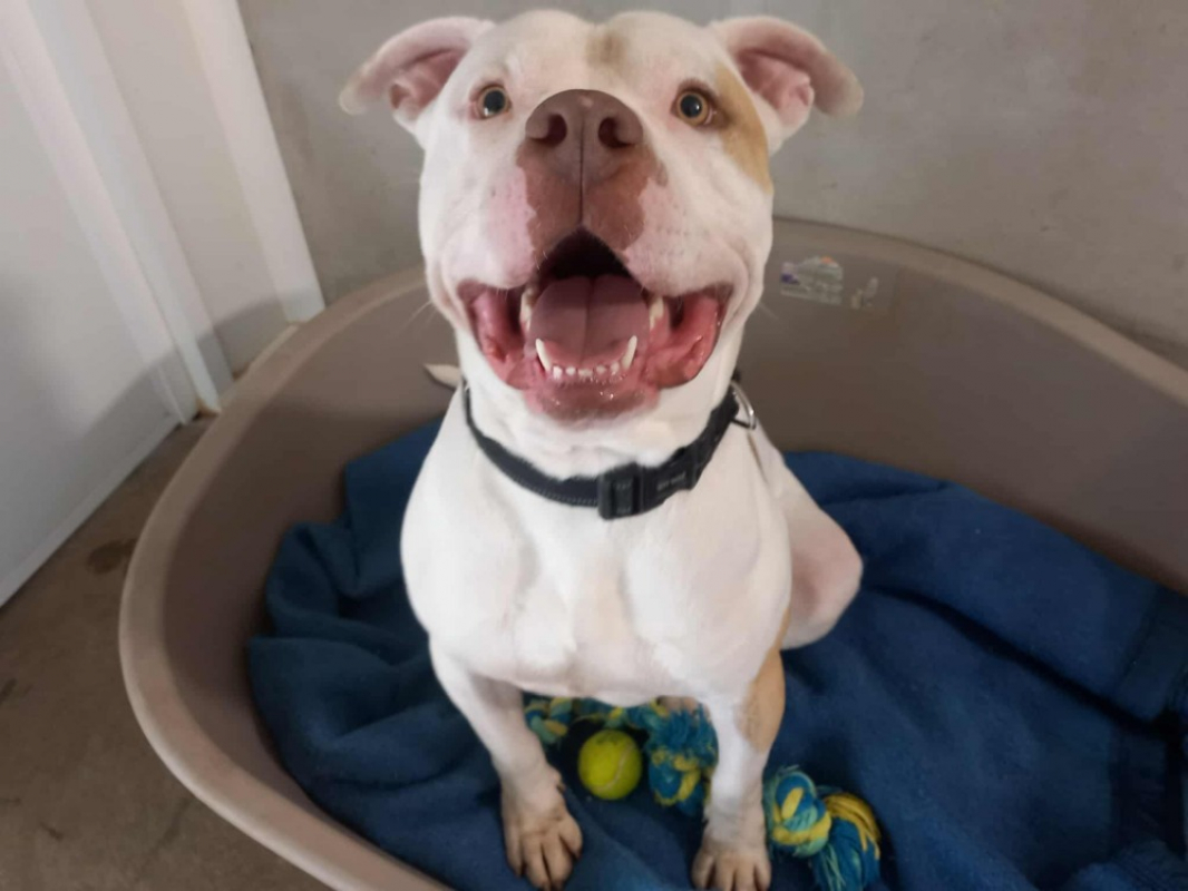 Photo #1 de Taylor qcn