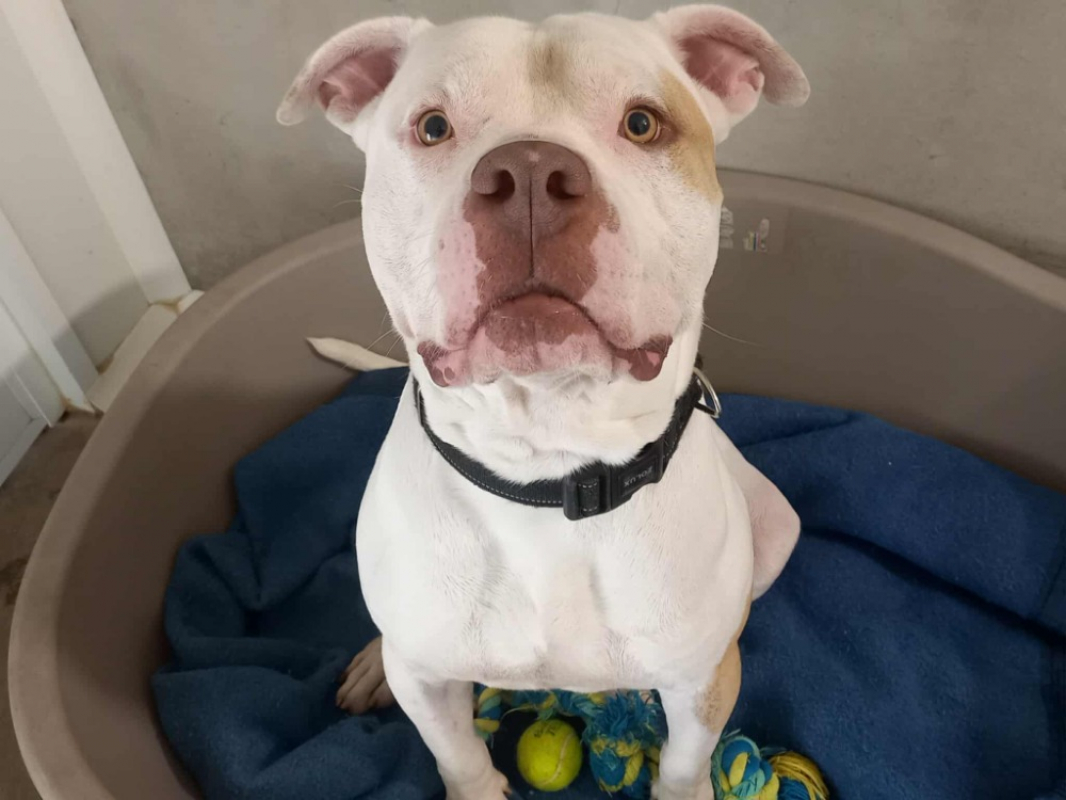 Photo #2 de Taylor qcn