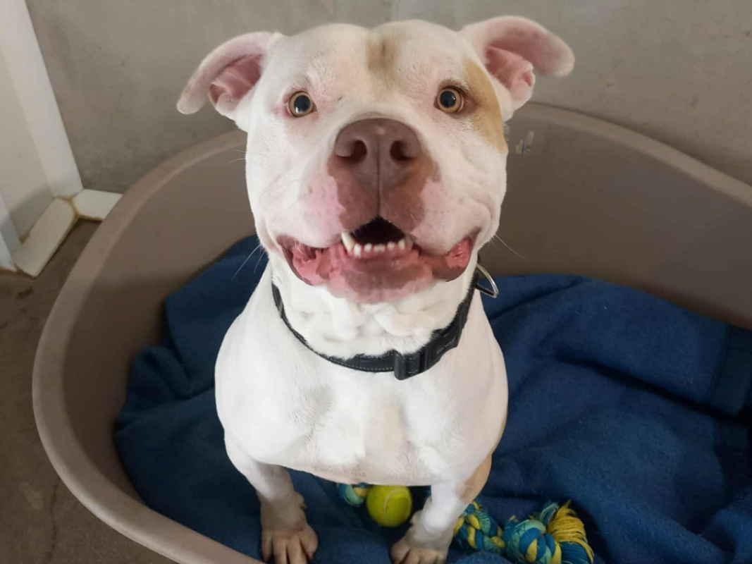 Photo #3 de Taylor qcn