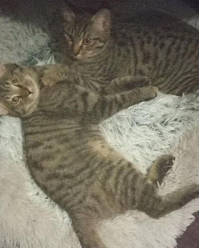 Photo #2 de Joy et Jazz