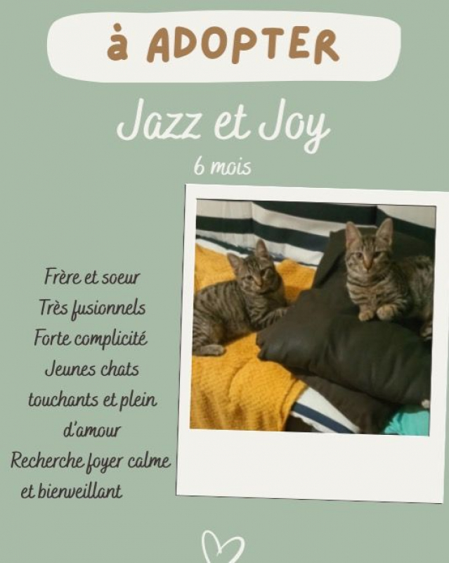 Photo #3 de Joy et Jazz