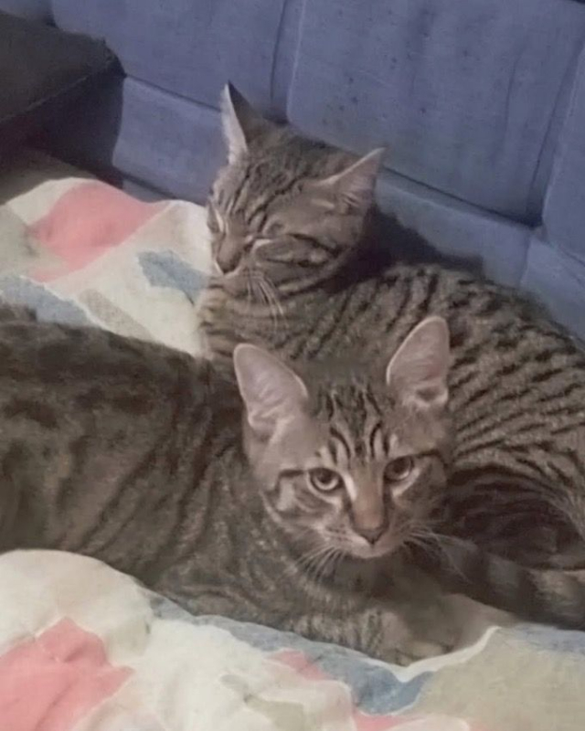 Photo #4 de Joy et Jazz