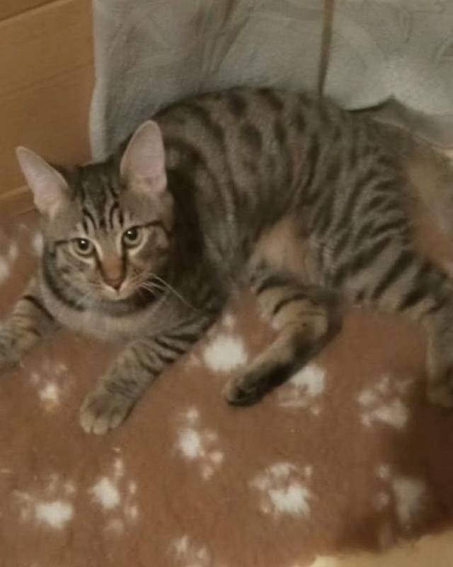 Photo #5 de Joy et Jazz