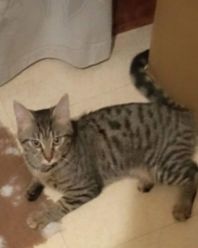 Photo #6 de Joy et Jazz