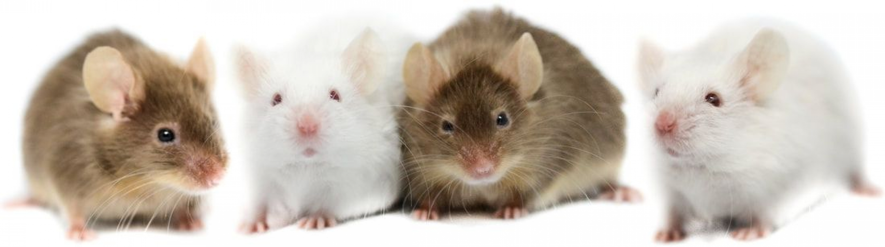 Photo de Blandine et Eulalie 