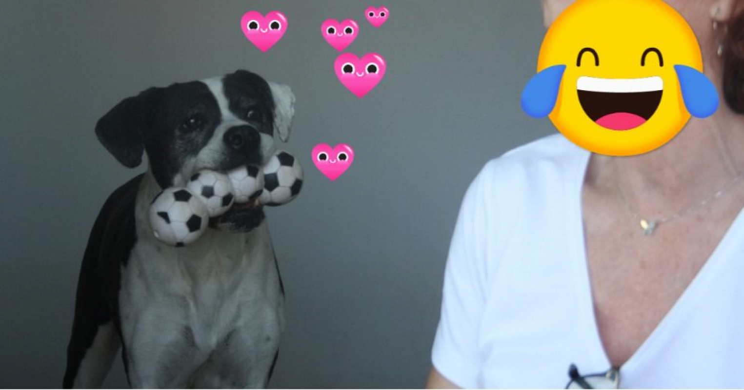 Photo #7 de PEPA
