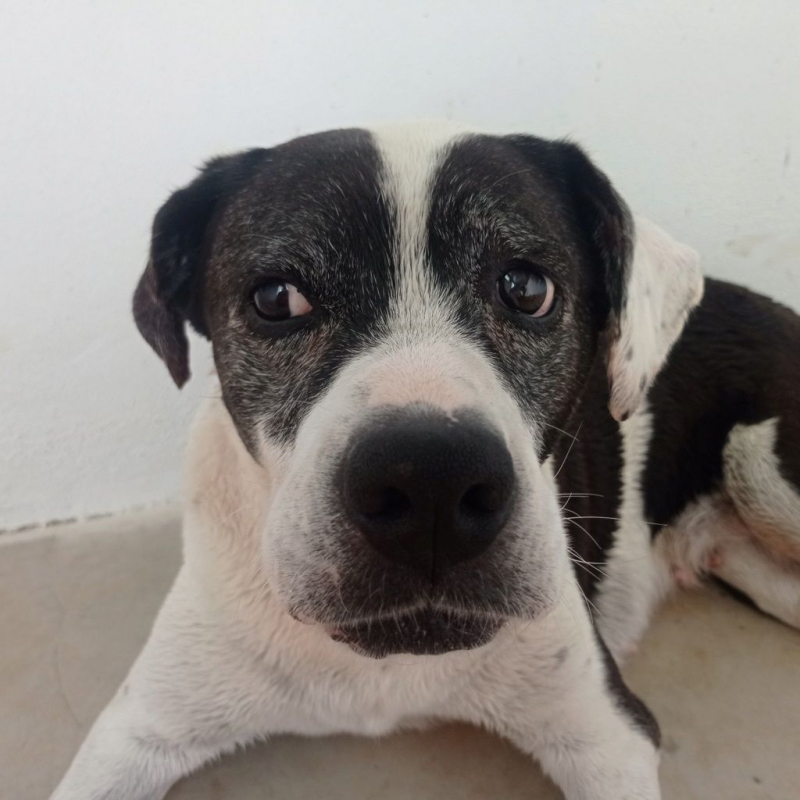 Photo #8 de PEPA