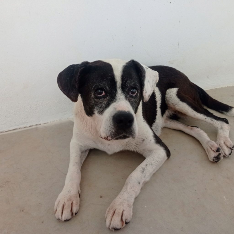 Photo #9 de PEPA