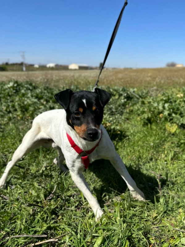 Photo #1 de BUÑUELO