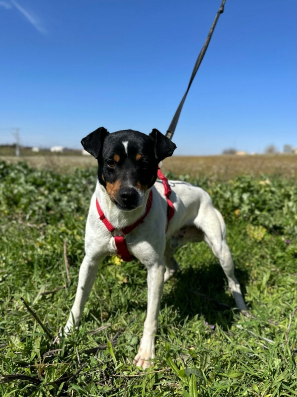 Photo #2 de BUÑUELO