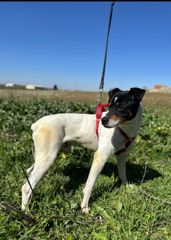 Photo #3 de BUÑUELO