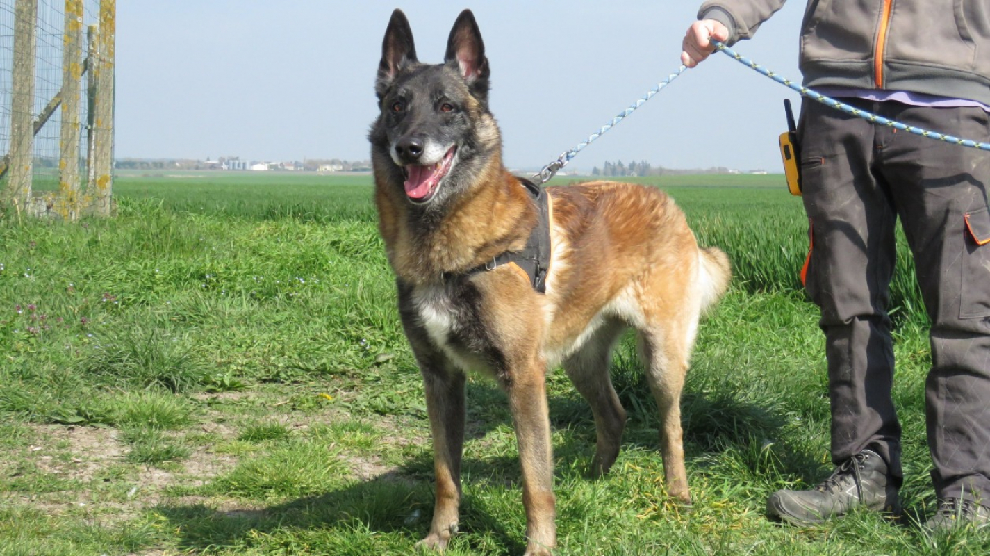 Photo #2 de Sully