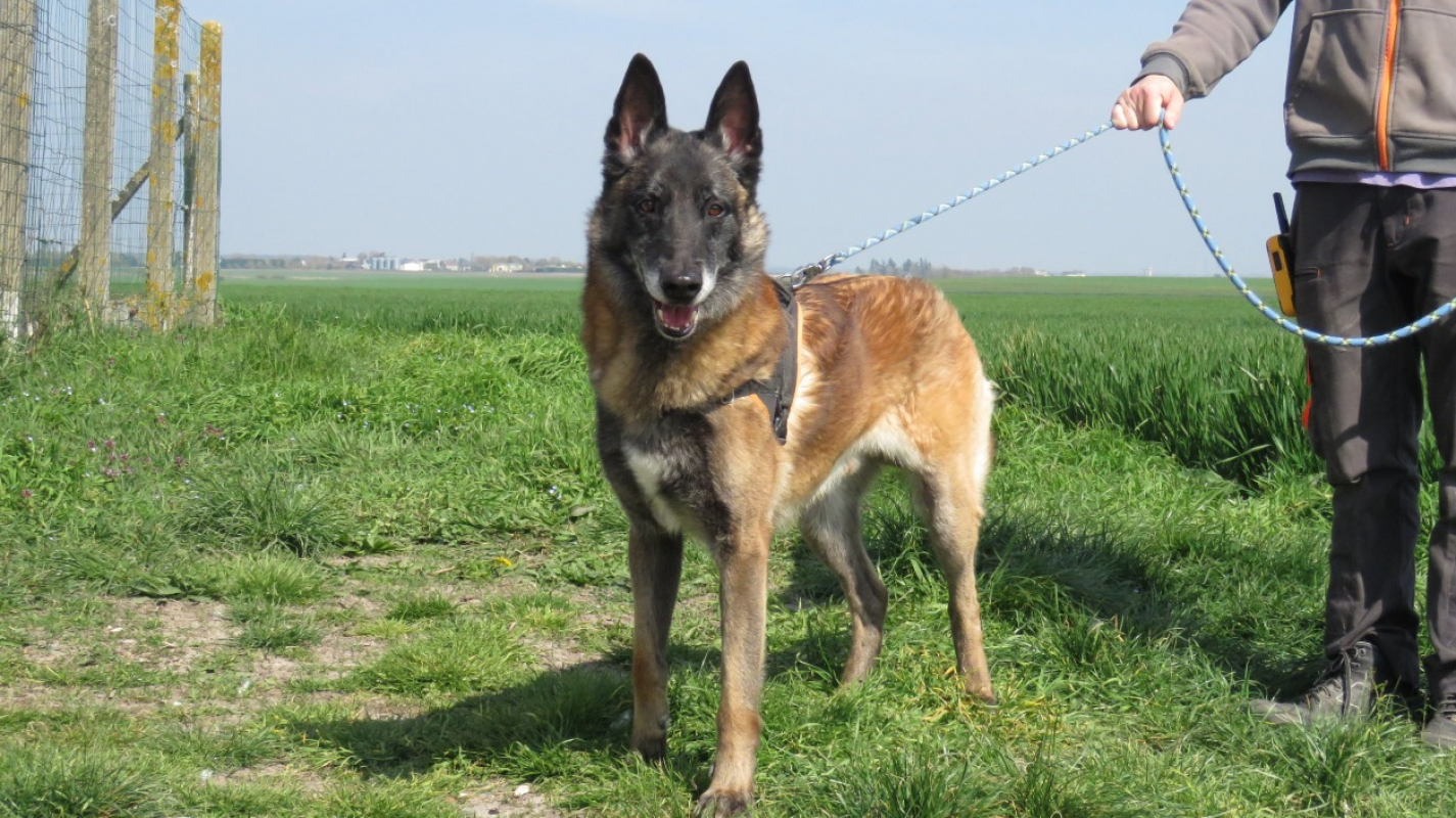 Photo #4 de Sully