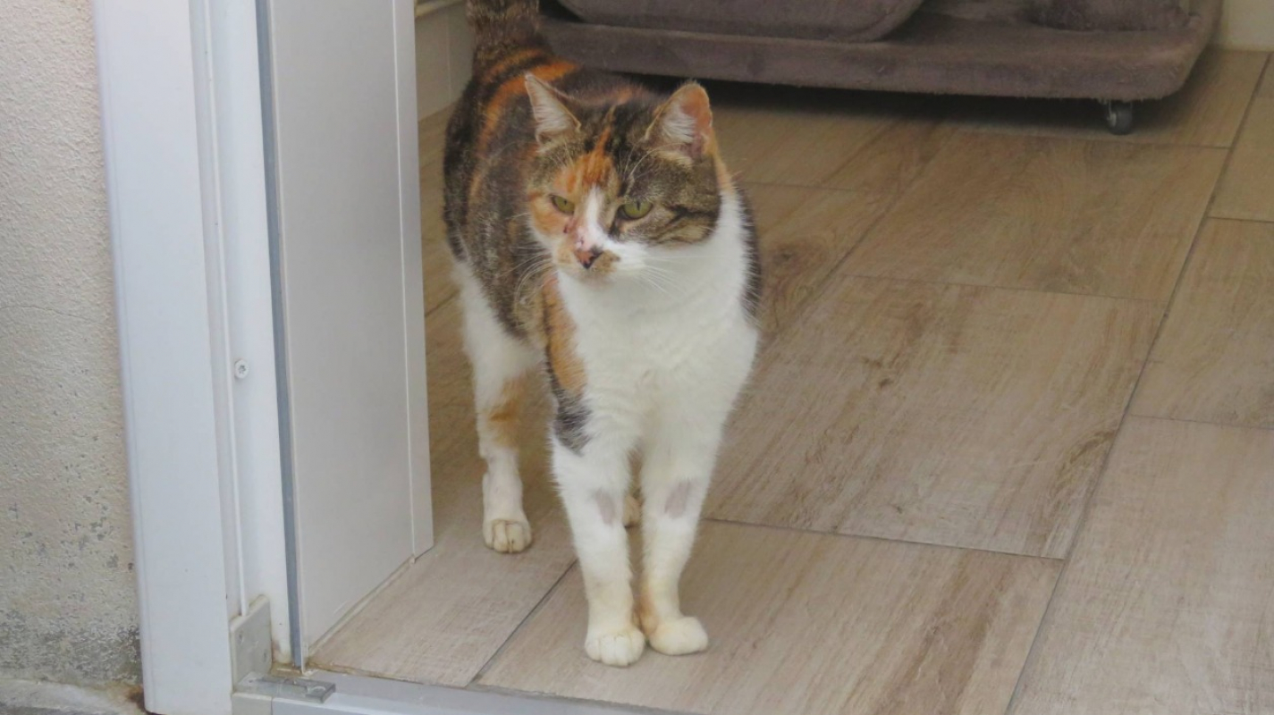 Photo #3 de Marianne