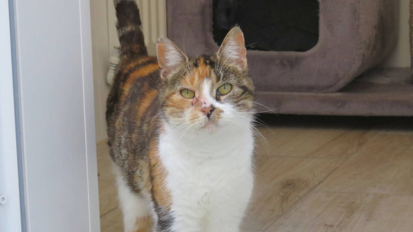 Photo #4 de Marianne