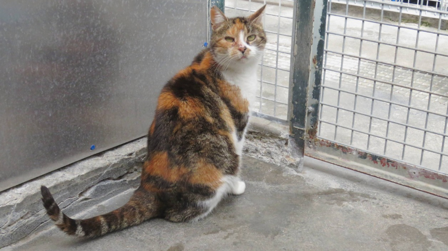 Photo #5 de Marianne