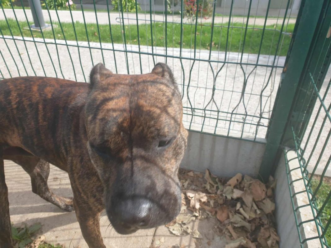 Photo #4 de Tayson