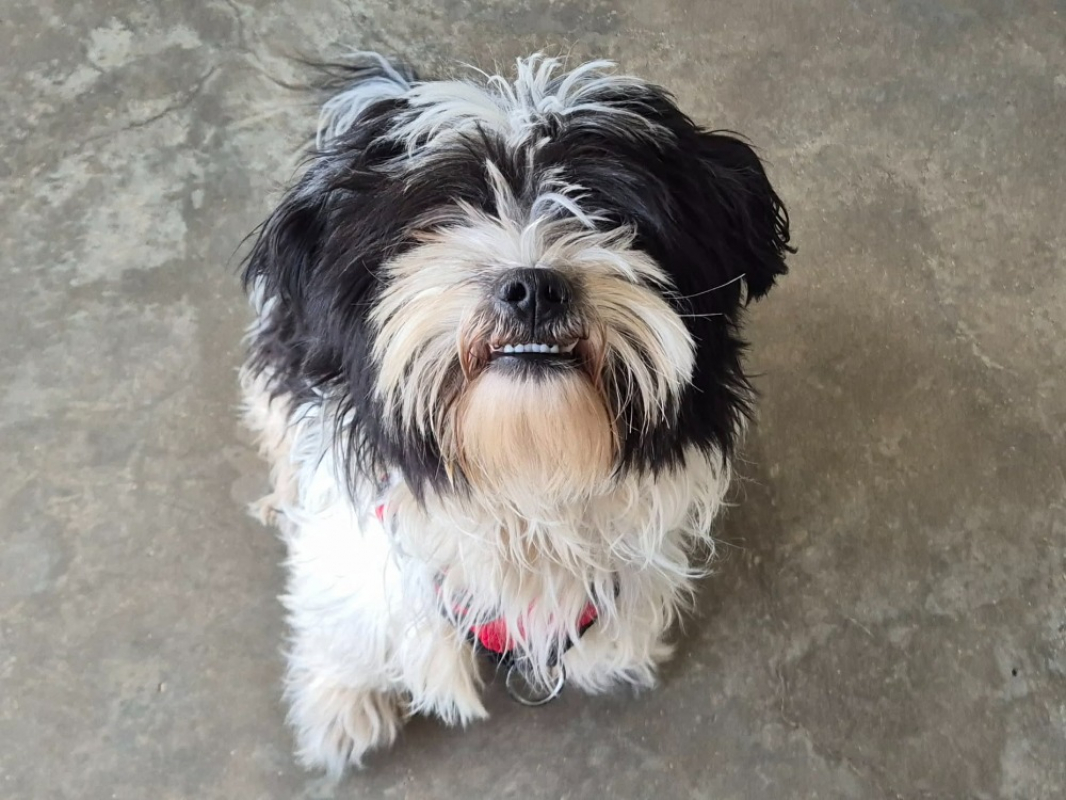 Photo #1 de Expresso