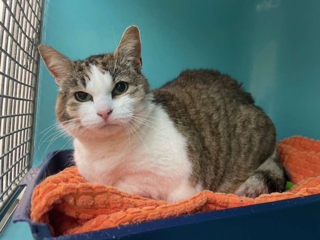 Photo de Mimi senior