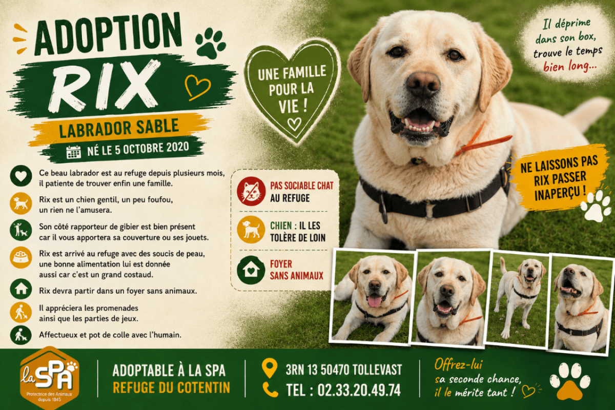 Photo de Rix