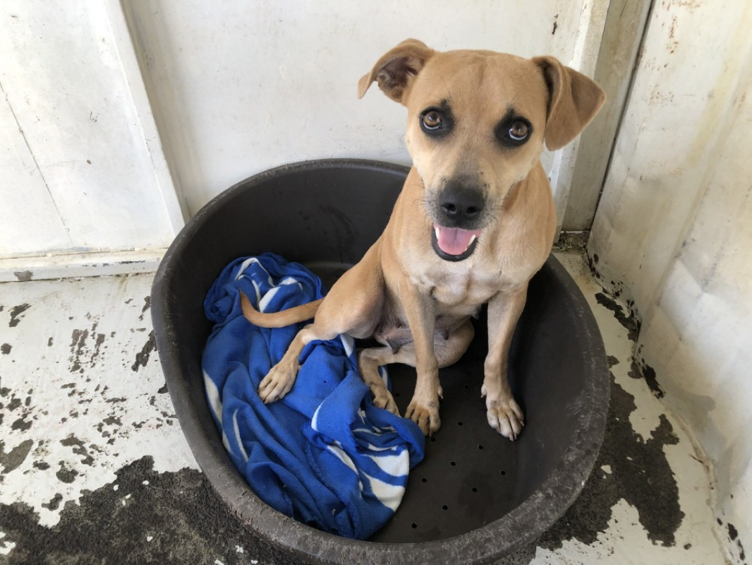 Photo #2 de Harmonie