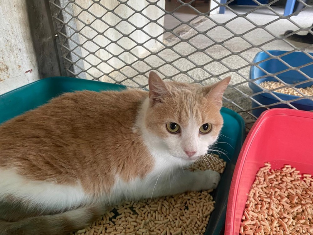 Photo #1 de Sunday réservé