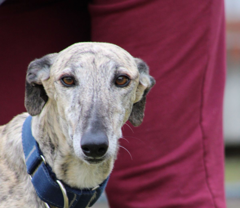 Photo #1 de ALEJANDRA