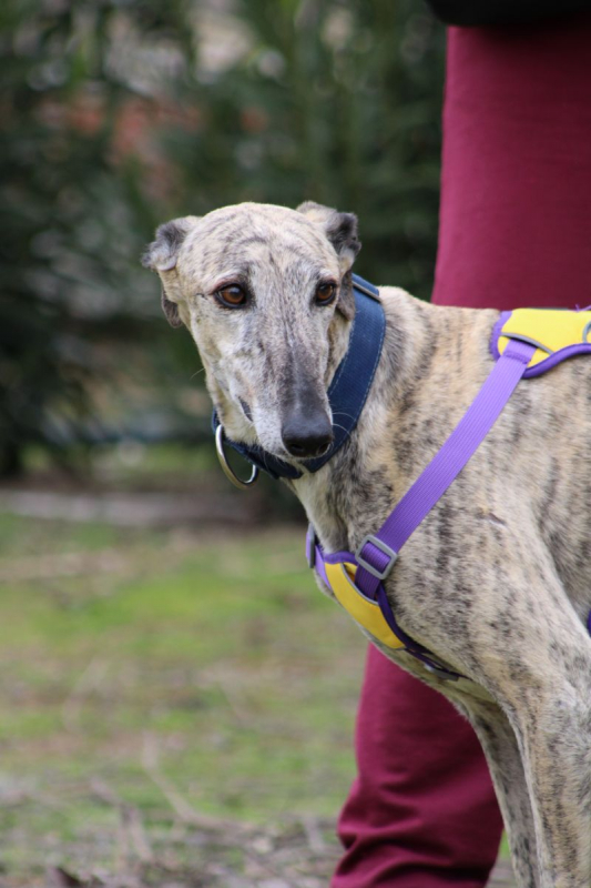 Photo #2 de ALEJANDRA