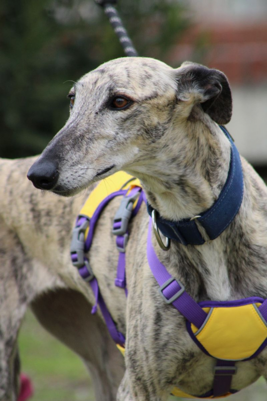 Photo #3 de ALEJANDRA