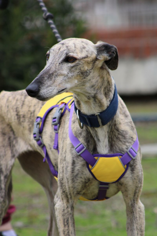 Photo #4 de ALEJANDRA