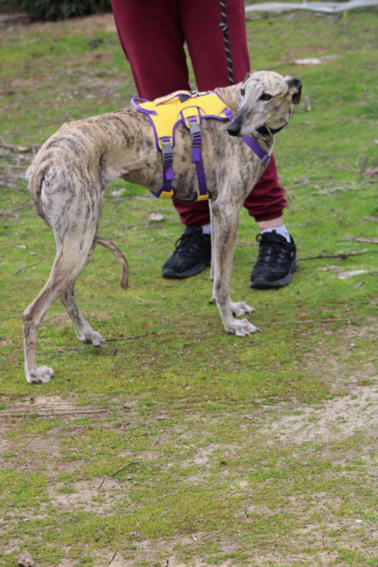 Photo #5 de ALEJANDRA