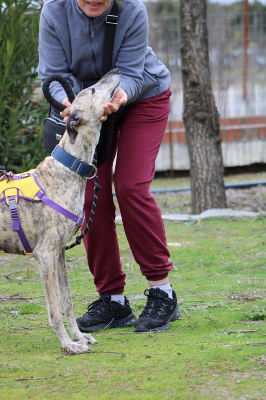 Photo #6 de ALEJANDRA